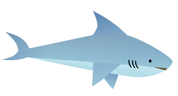 shark